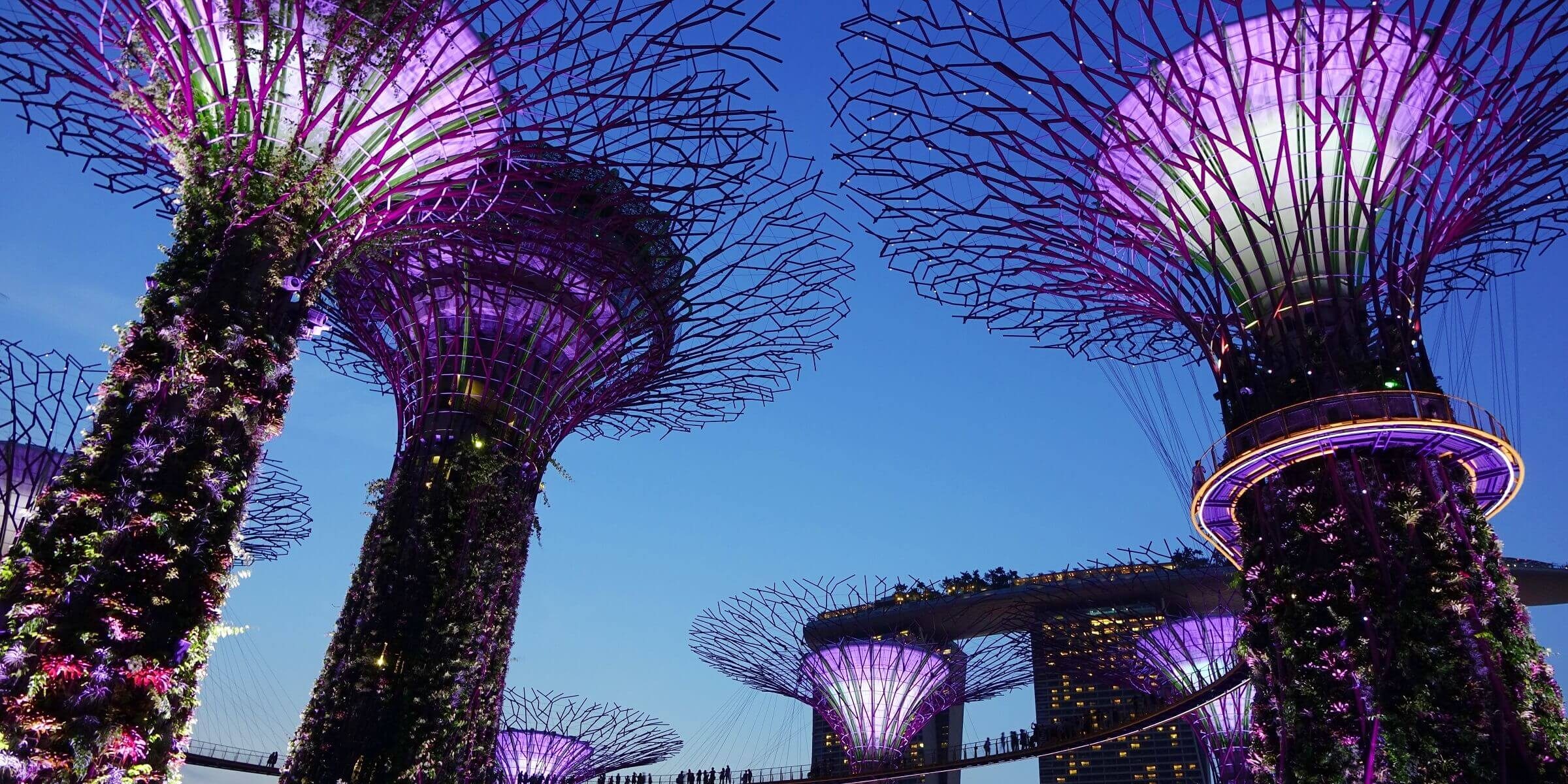 Der Garden Bay in Singapur ist ein einzigartiges Erlebnis