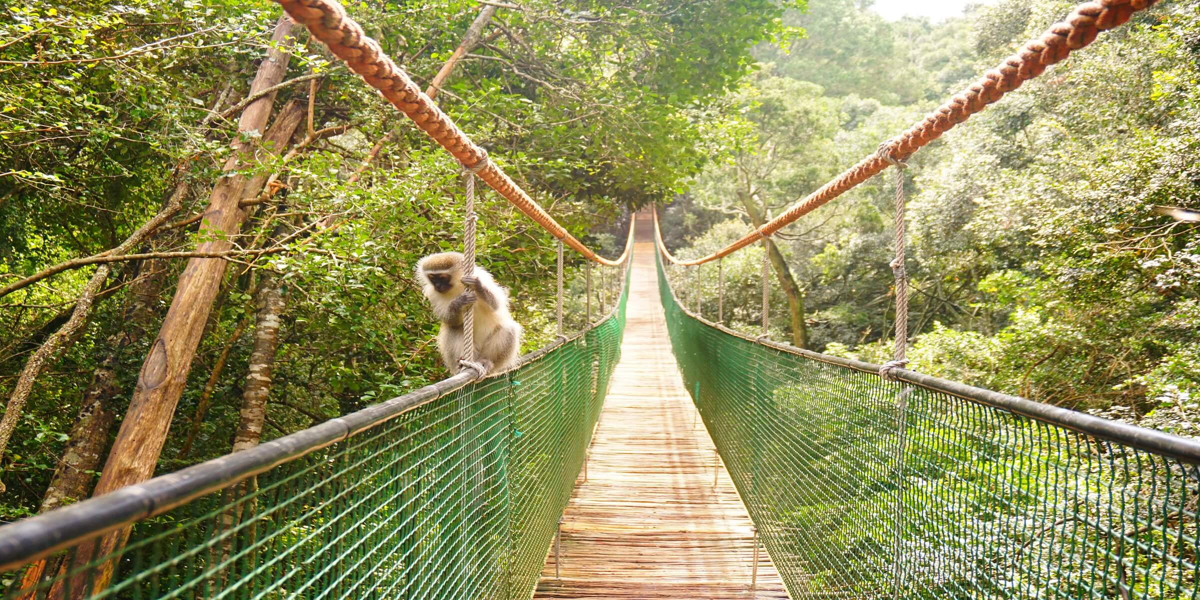 Sehen Sie die Tiere in Ihrer natürlichen Umgebung auf dieser adamare Singlereise