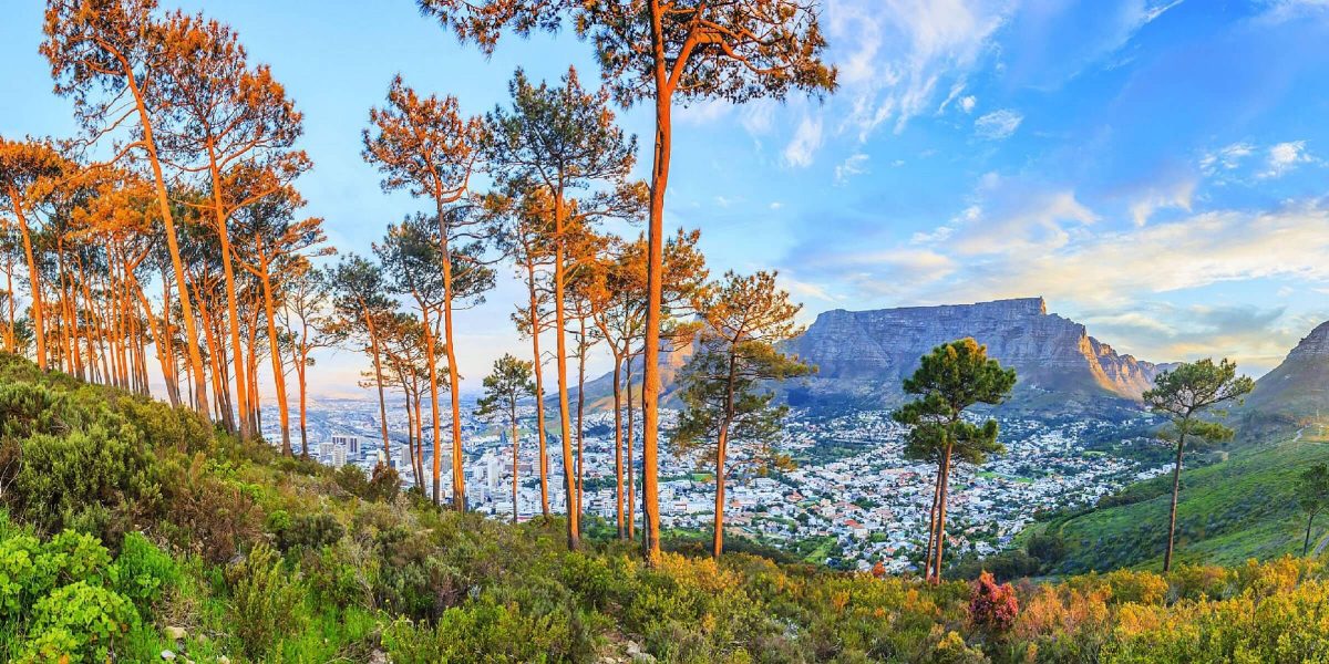 Der Blick nach Kapstadt in Südafrika