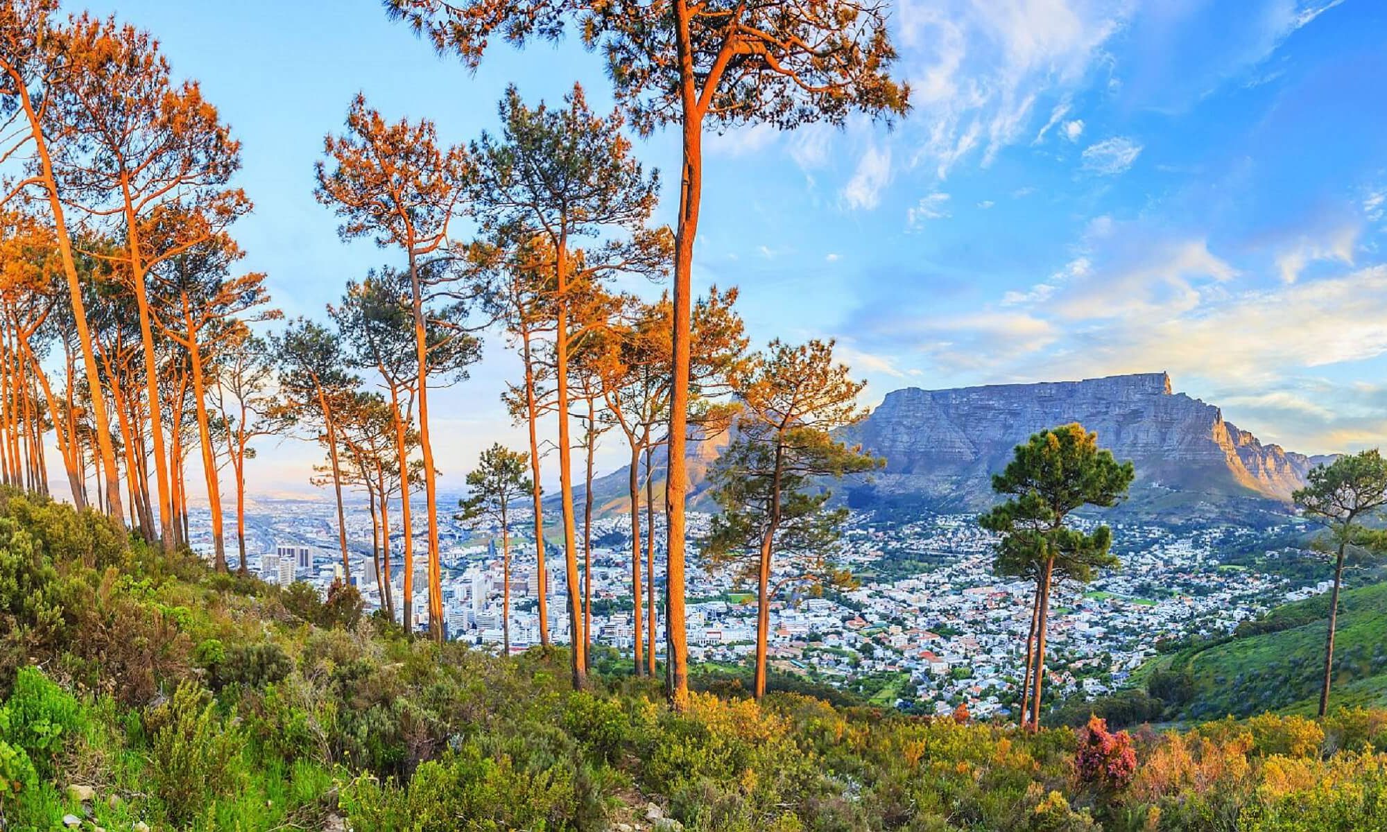 Der Blick nach Kapstadt in Südafrika