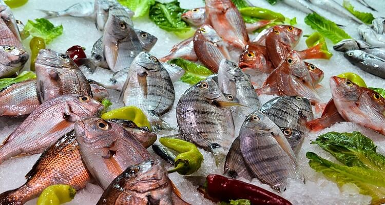 Frischer Fisch kann direkt auf dem Fischmakrt in Lissabon gekauft werden