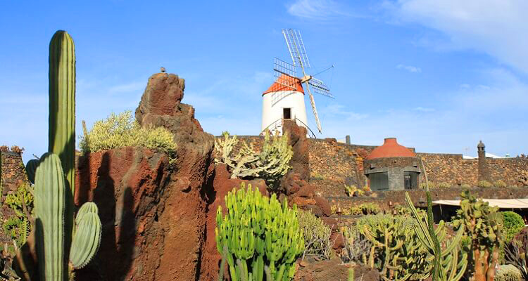 Der Kaktusgarten Cesarc Manrque auf Fuerteventura