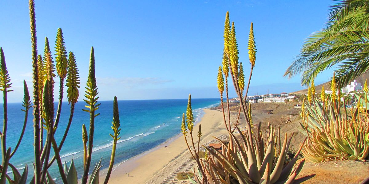 Strandabschnitt auf Fuerteventura