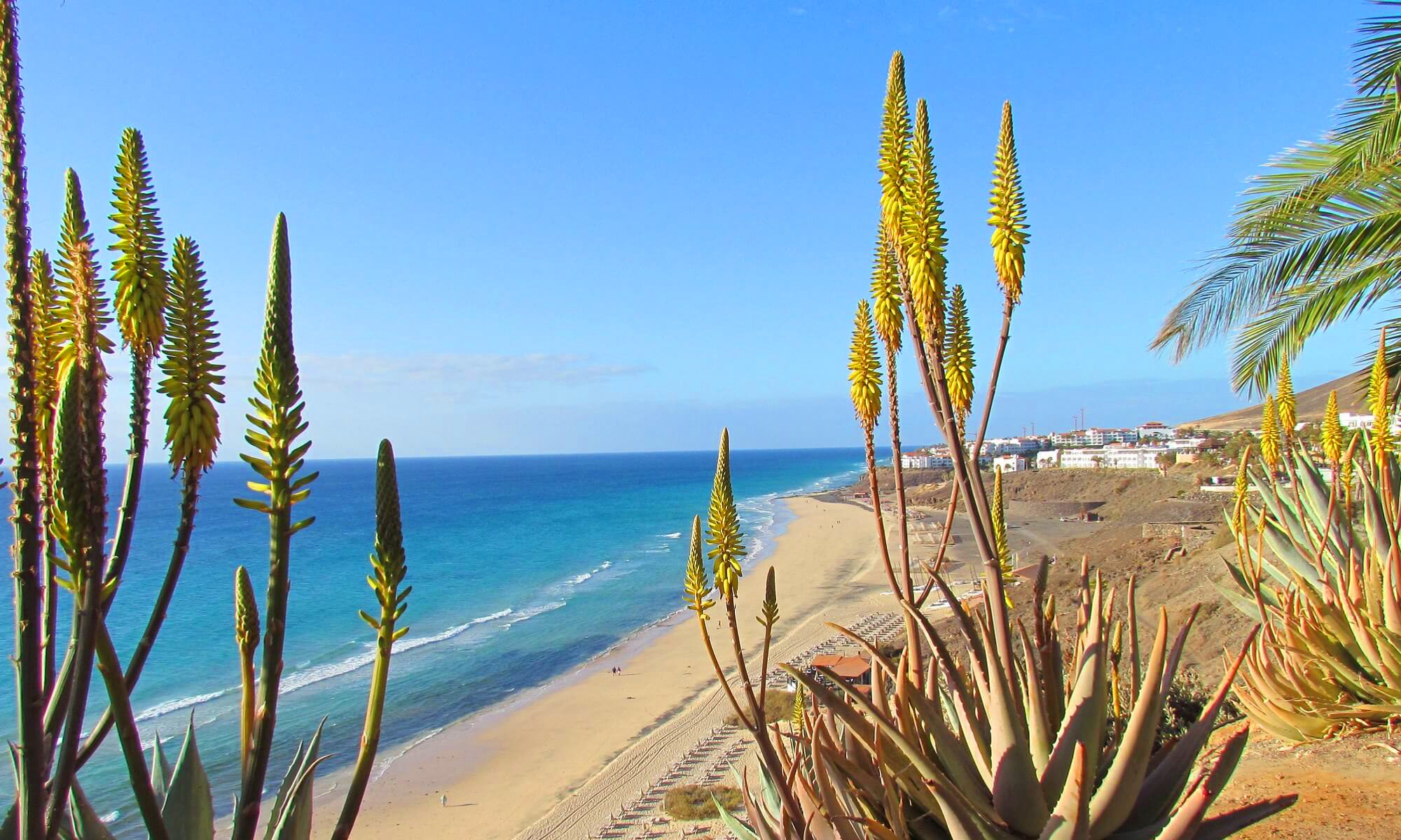 Strandabschnitt auf Fuerteventura