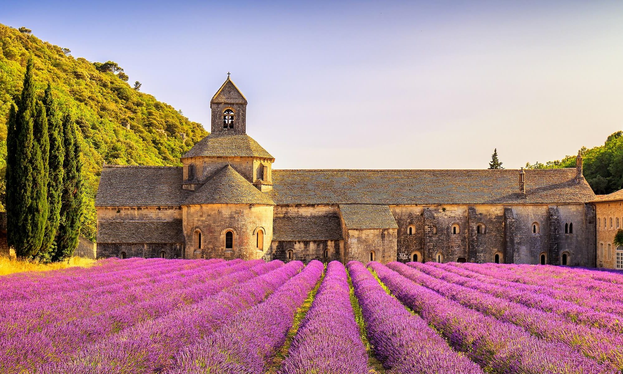 Das Kloster von Senanque mit typischem Lavendelfeld im Vordergrund