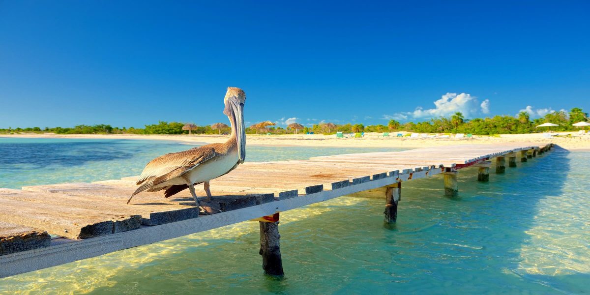 Karibik Urlaub Weihnachten 2022 Weihnachten & Silvester in der Karibik adamare SingleReisen