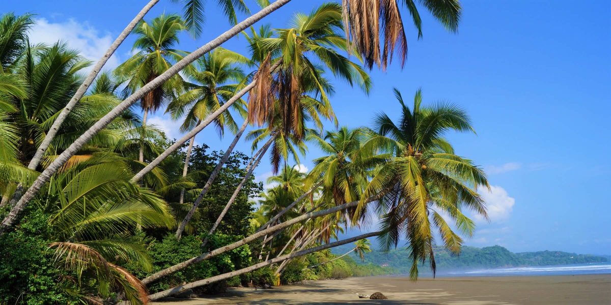 Traumstrand in Costa Rica