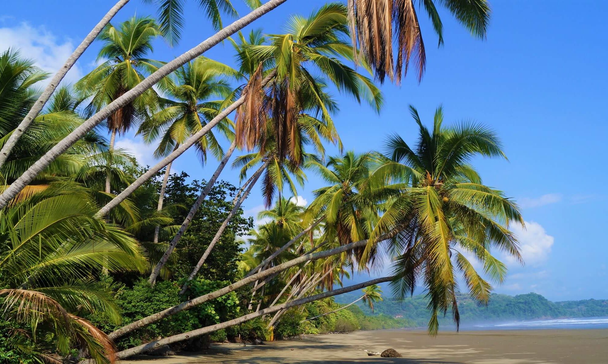 Traumstrand in Costa Rica