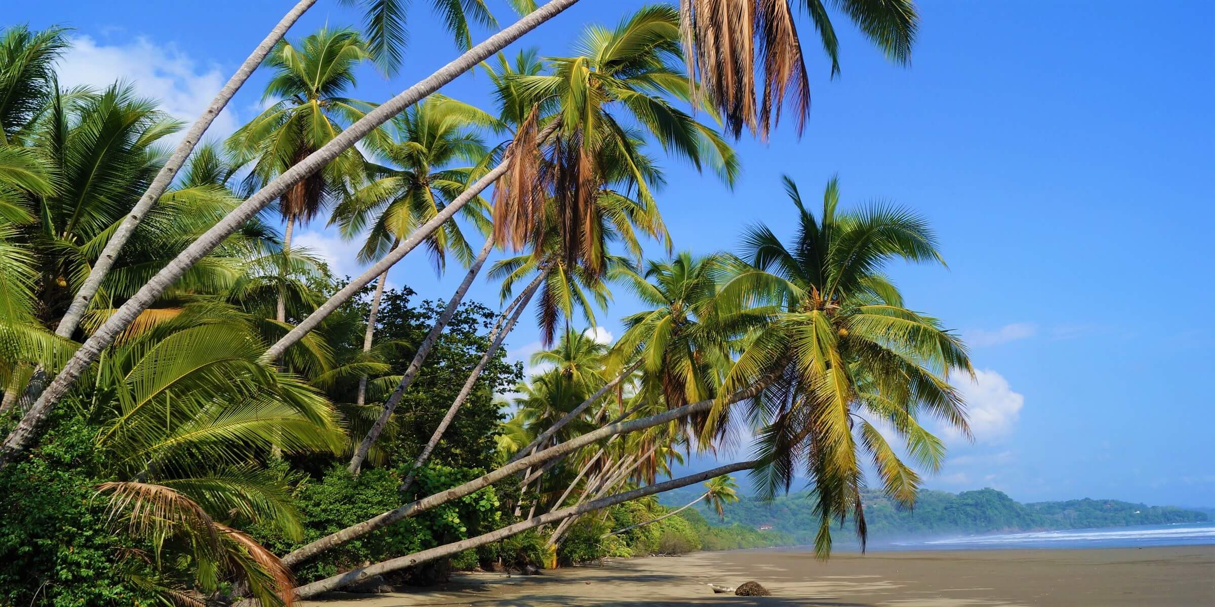 Traumstrand in Costa Rica