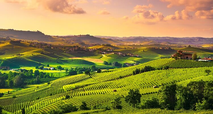 Entdecken Sie die Langhe Region mit adamare SingleReisen