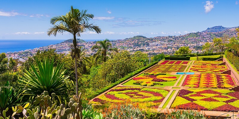 Unsere besten Reisetipps für den Urlaub auf Madeira: Funchal, Botanischer Garten