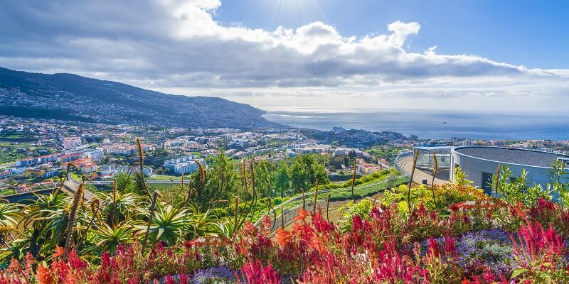 Unsere besten Reisetipps für den Urlaub auf Madeira: Pico de los Barcelos