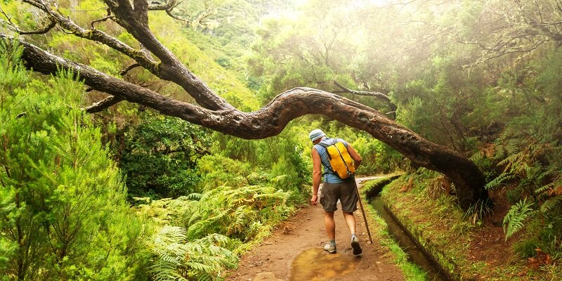 Unsere besten Reisetipps für den Urlaub auf Madeira: Wandern entland der Bewässerungskanäle der Insel