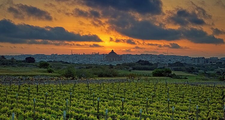 Adamare Singlereise auf Malta zu Silvester Weinverkostung