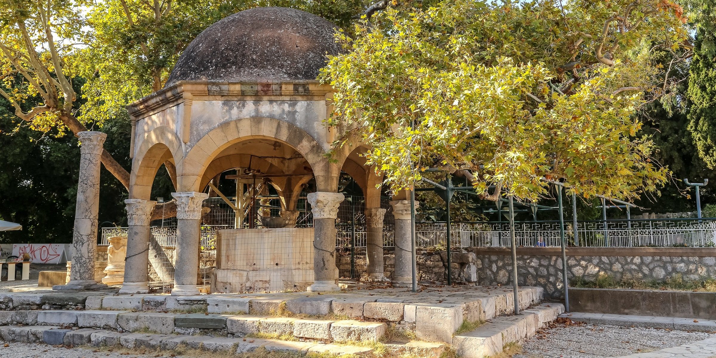 Kos Stadt - Baum Hippokrates