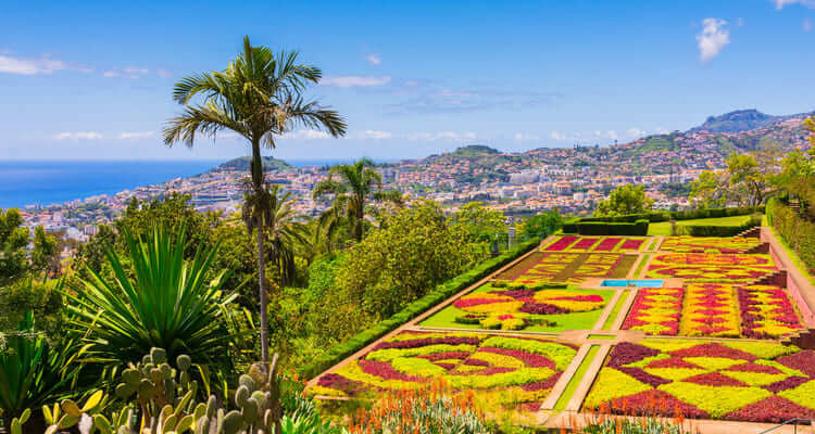 Singlereise Madeira - Botanischer Garten Funchal