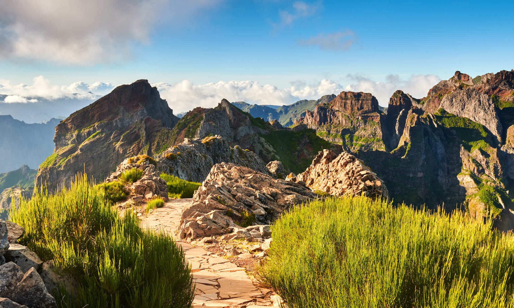 Singlereise Madeira - Bergpanorama