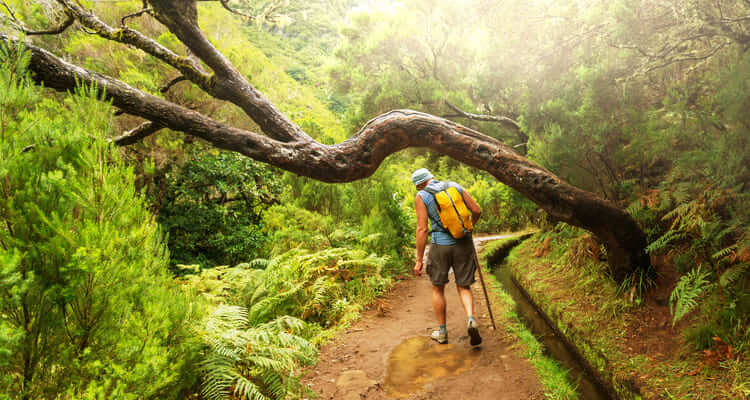 Singlereise Madeira - Levada Wanderung