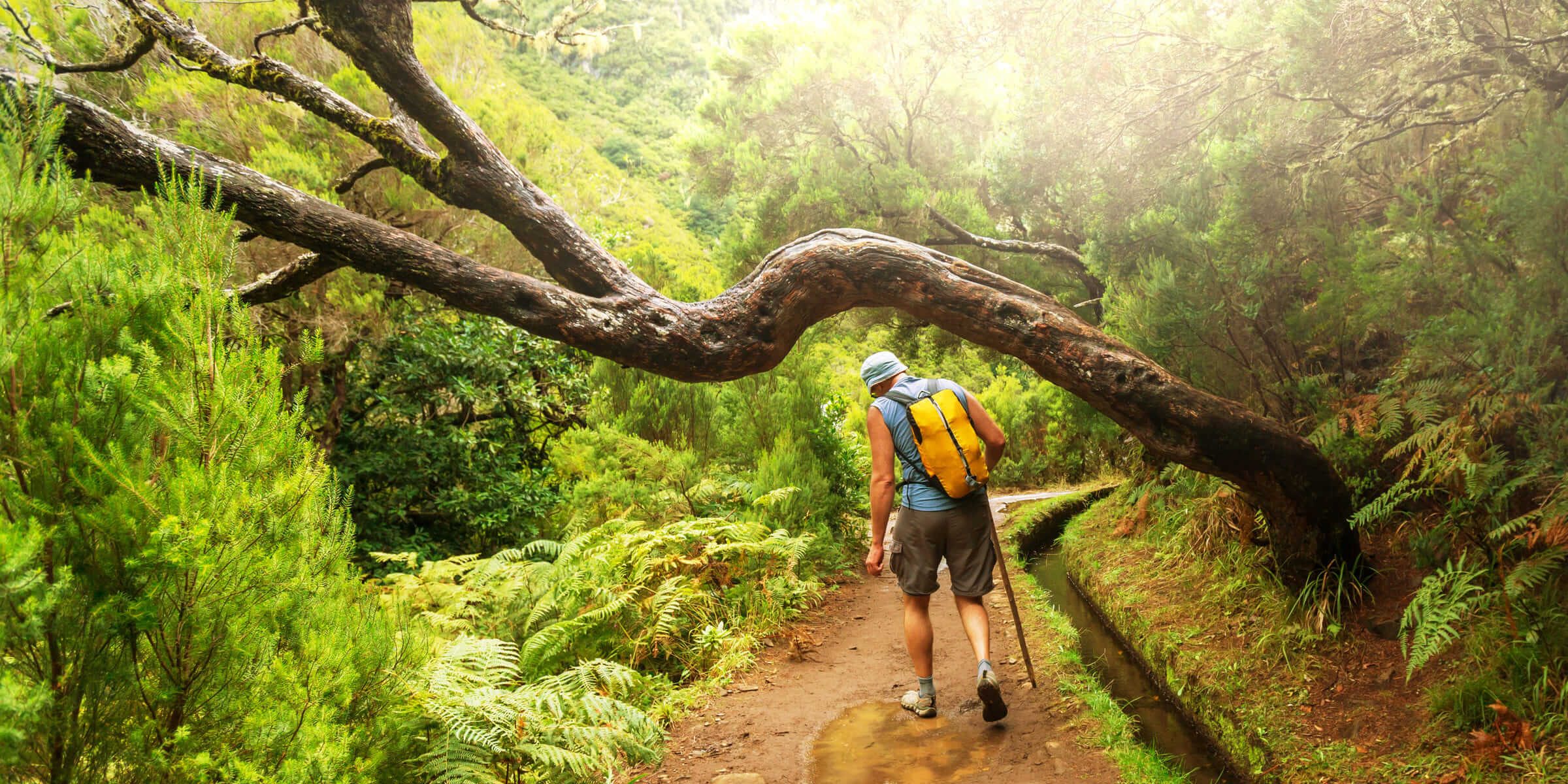 Singlereise Madeira - Levada Wanderung