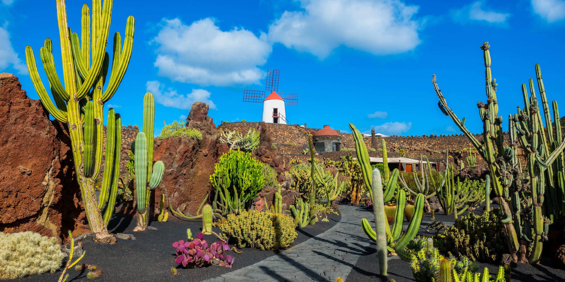 Wunderschöne Natur auf einer Singlereise nach Lanzarote erleben