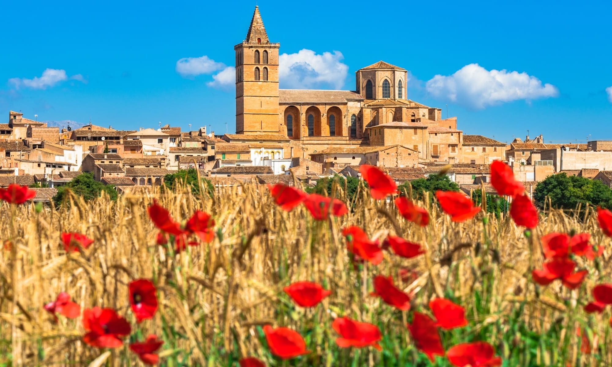 Singlereise nach Mallorca - Kirche Sineu mit Mohnfeld