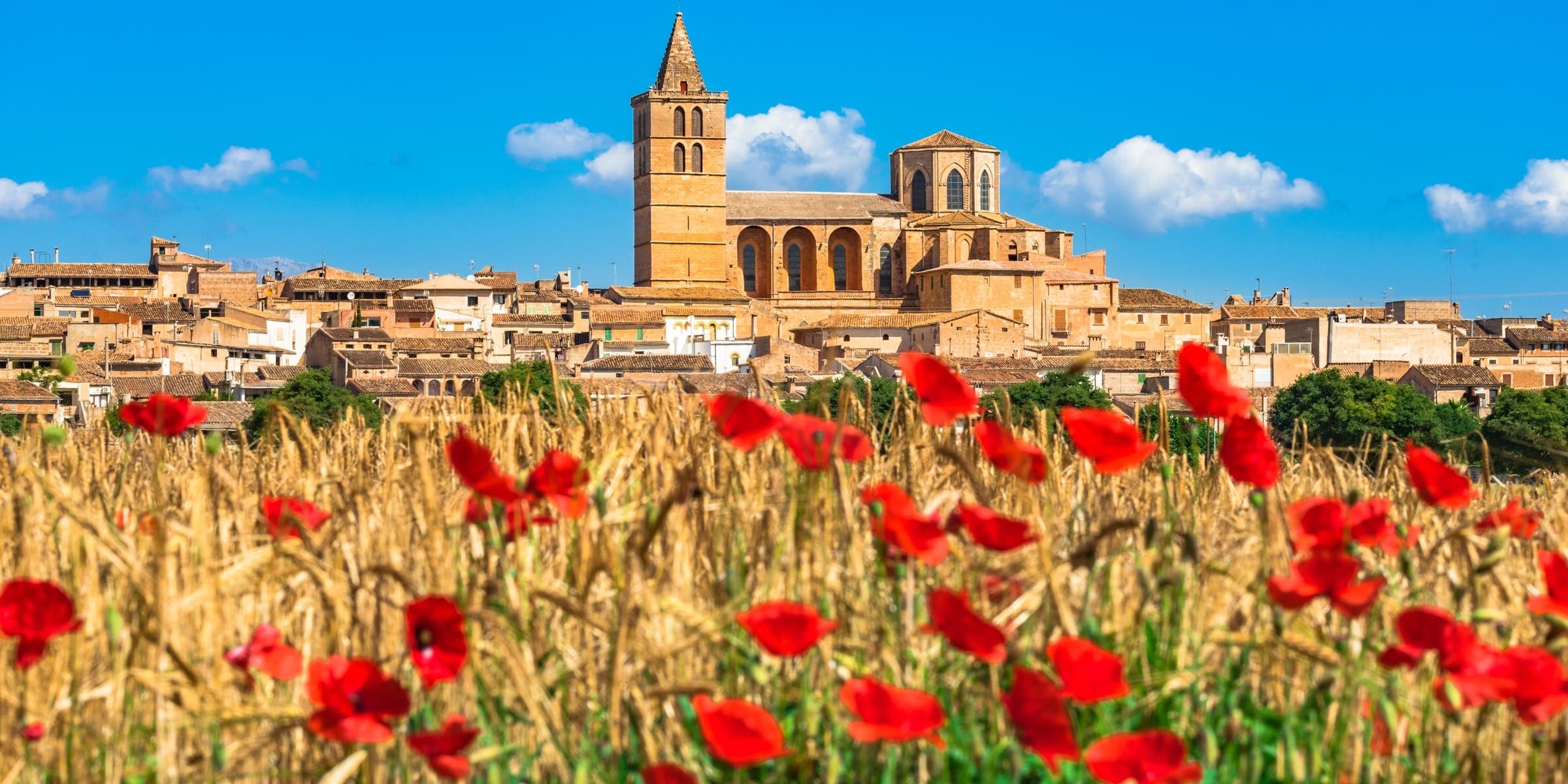 Singlereise nach Mallorca - Kirche Sineu mit Mohnfeld