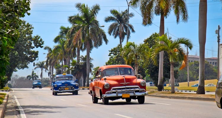 Singlereise nach Kuba - Oldtimer unterwegs auf einer Allee