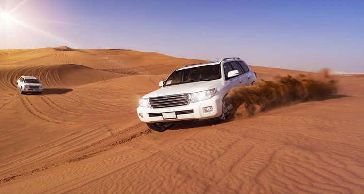 Singlereise nach Abu Dhabi - Dune Bashing