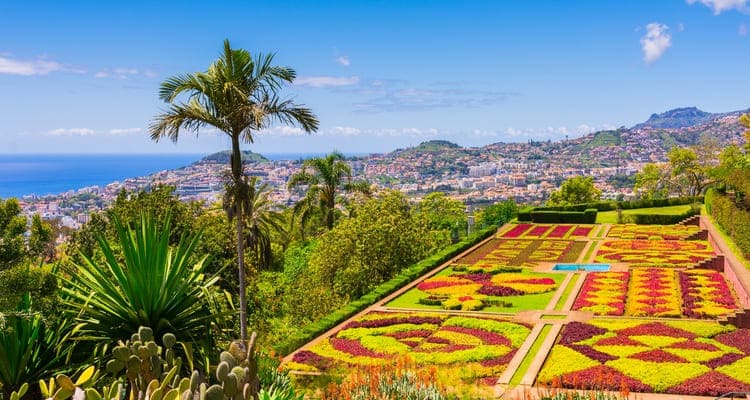 Singlereise nach Madeira - Botanischer Garten