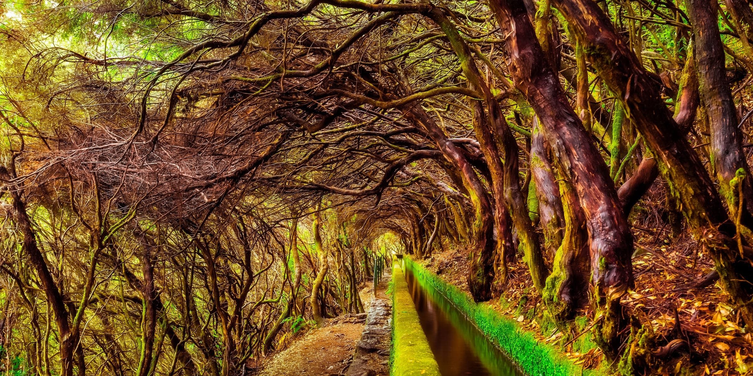 Singlereise nach Madeira - Wanderpfad Levada