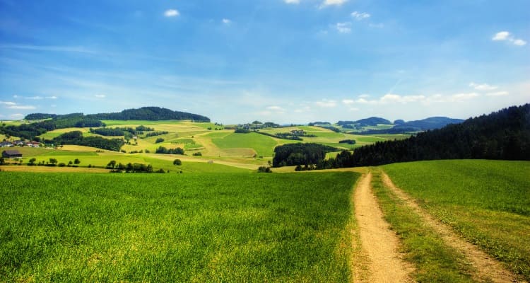 Singlereise nach Bad Leonfelden - grüne Landschaft