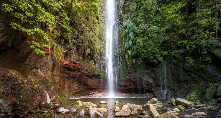 Singlereise nach Madeira - Wasserfall in Levada