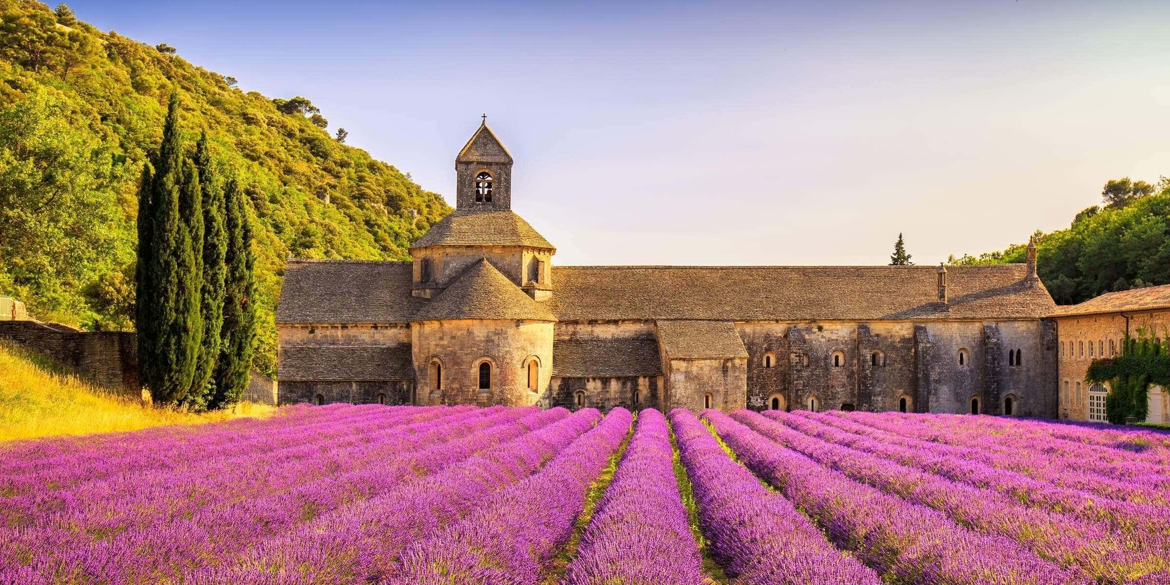 Singlereise nach Marseille - Lavendel Abbey of Senanque