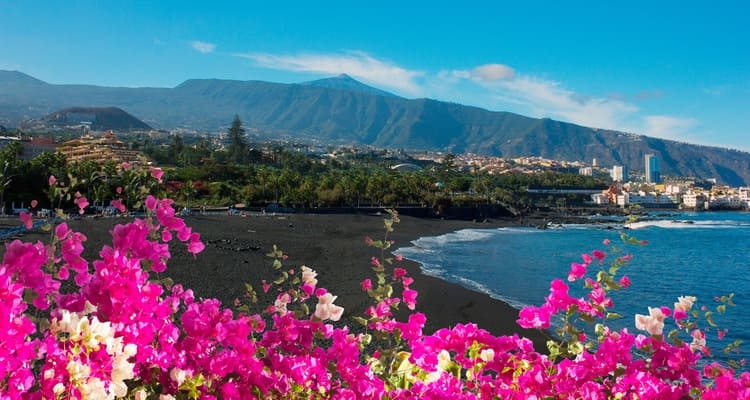 Singlereise nach Teneriffa - Puerto Cruz Blumen