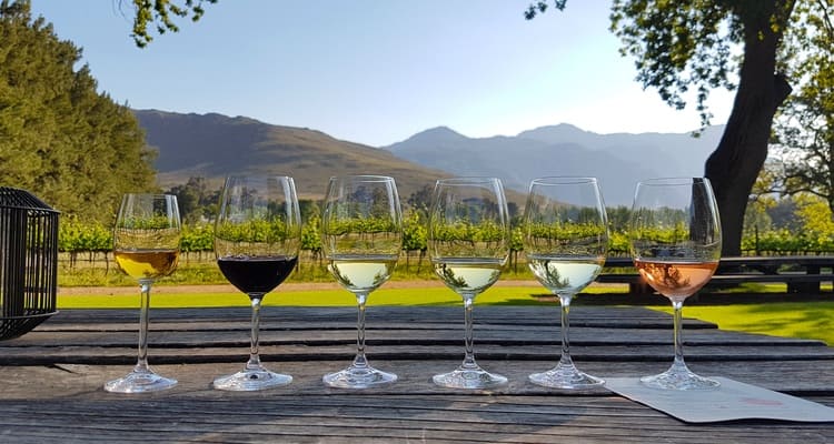 Singlereise nach Südafrika - Weinprobe
