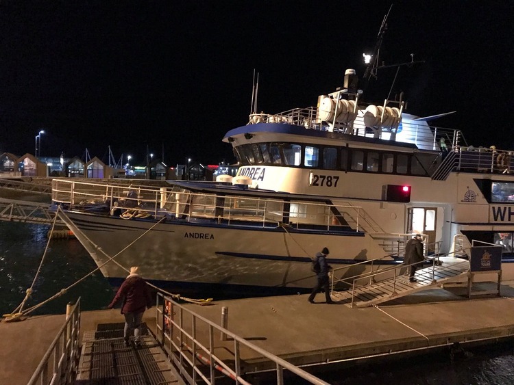 Persönlicher Reisebericht - Andreas erster Singleurlaub mit adamare SingleReisen in Island - Boot