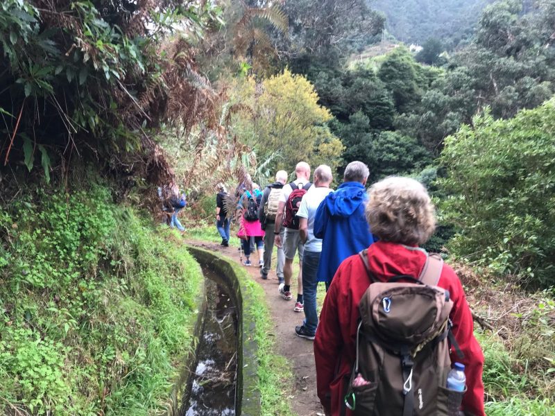 Persönlicher Erfahrungsbericht adamare SingleReisen Andrea - Wanderung Madeira