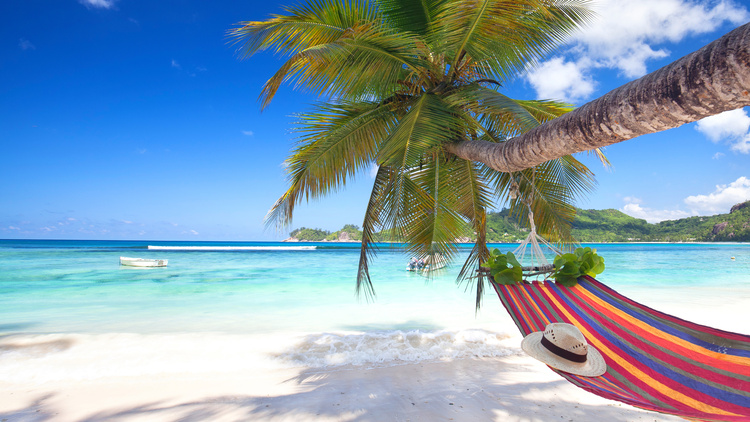 Seychellen Strand mit Hängematte