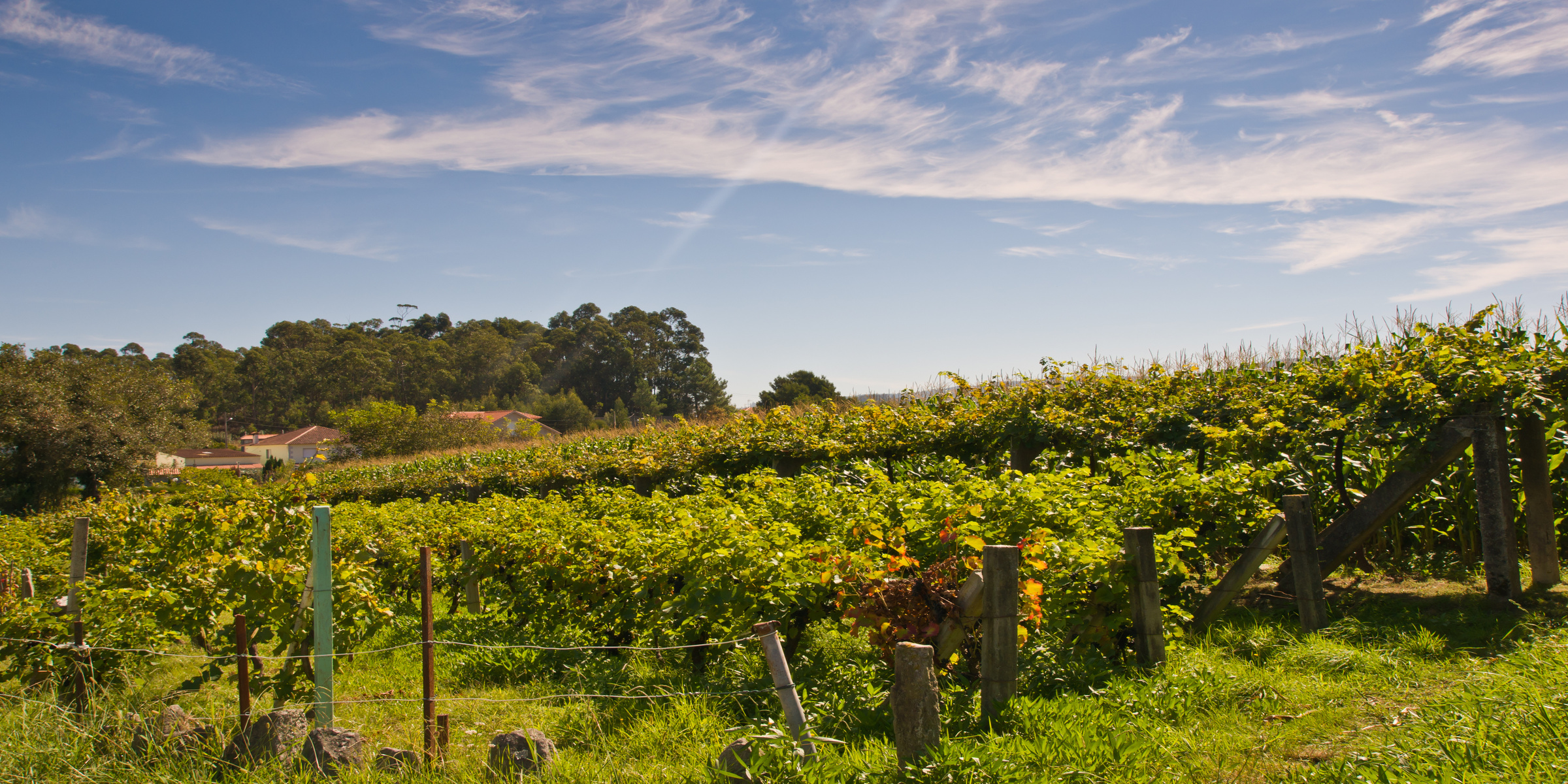 Potugal - 11-Tägige Singlereise nach Portugal und Galicien