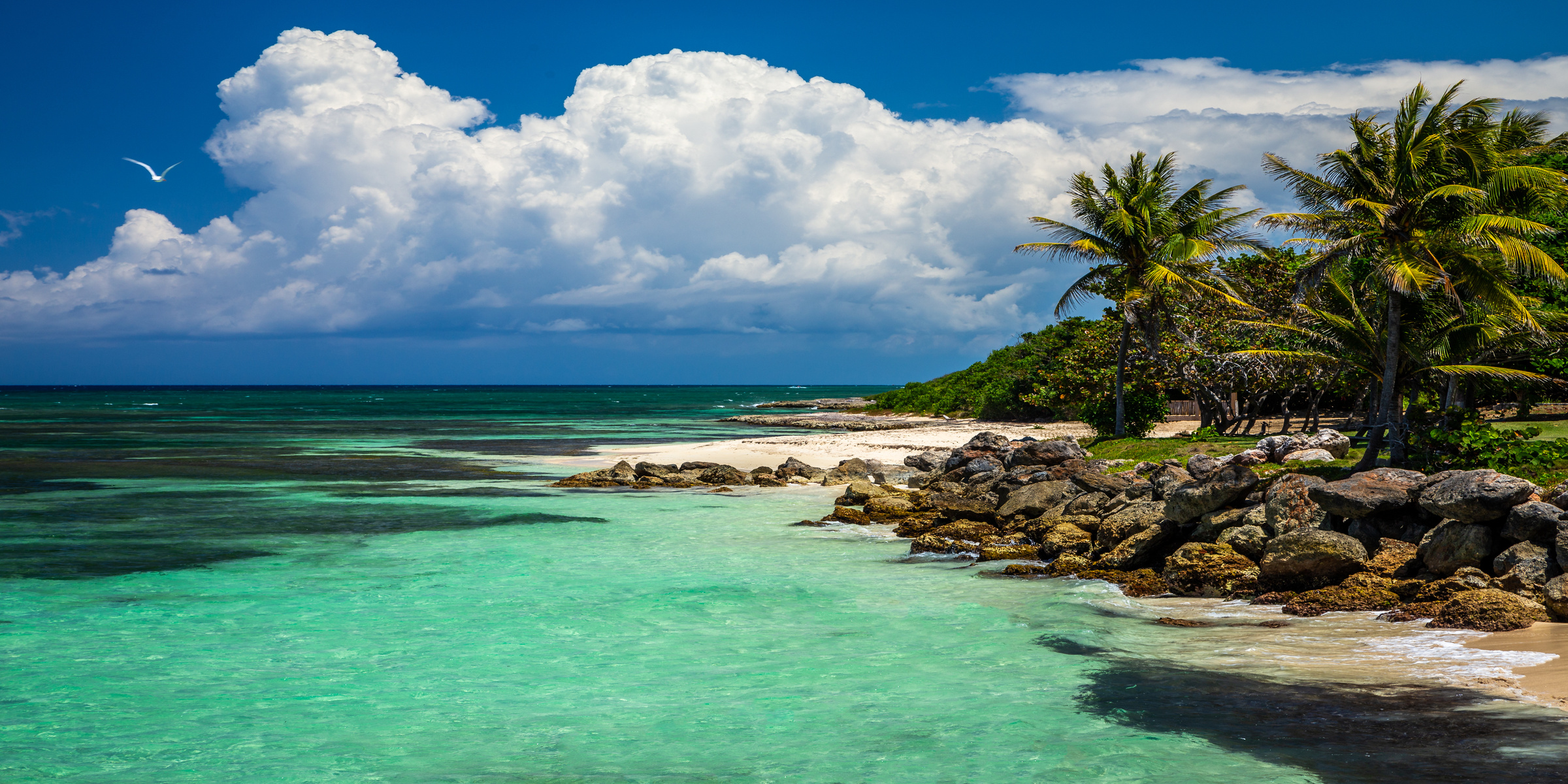 Jamaika - Single-Reise nach Jamaica:  12 Tage Karibikfeeling mit Sandstränden, spektakulären Bergregionen und herzlicher Gastfreundschaft