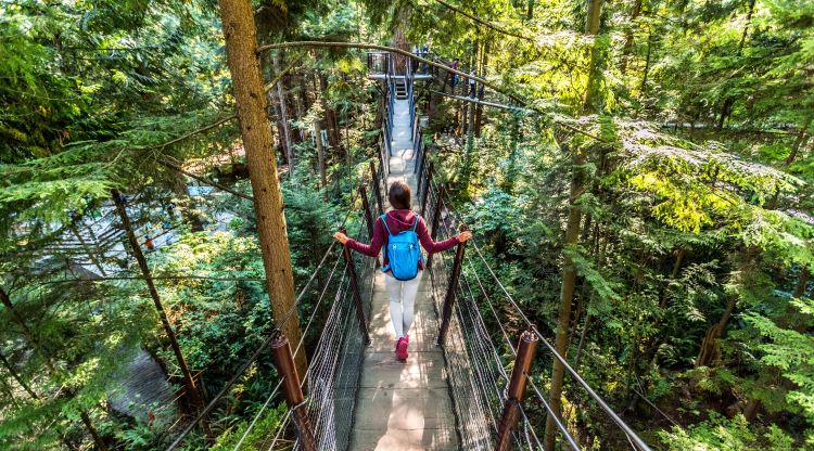 Auf der Capilano Brücke in Vancouver fühlt man sich wie im Regenwald