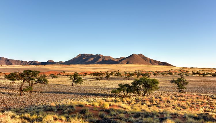 Nach der Ankunft fahren die adamare Gäste durch die Savanne Namibias in die erste Unterkunft