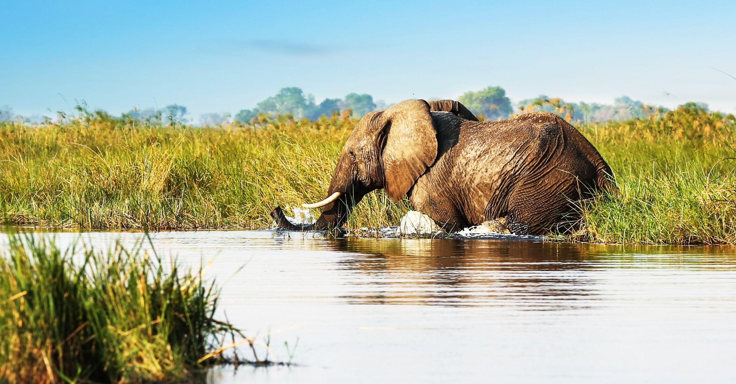 Impsante Elefantenherde in Namibia auf der adamare Singlereise nach Namibia