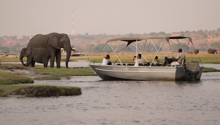 Eine Boat Cruise auf dem Chobe Fluss darf nicht fehlen auf der adamare Singlereise nach Botswana