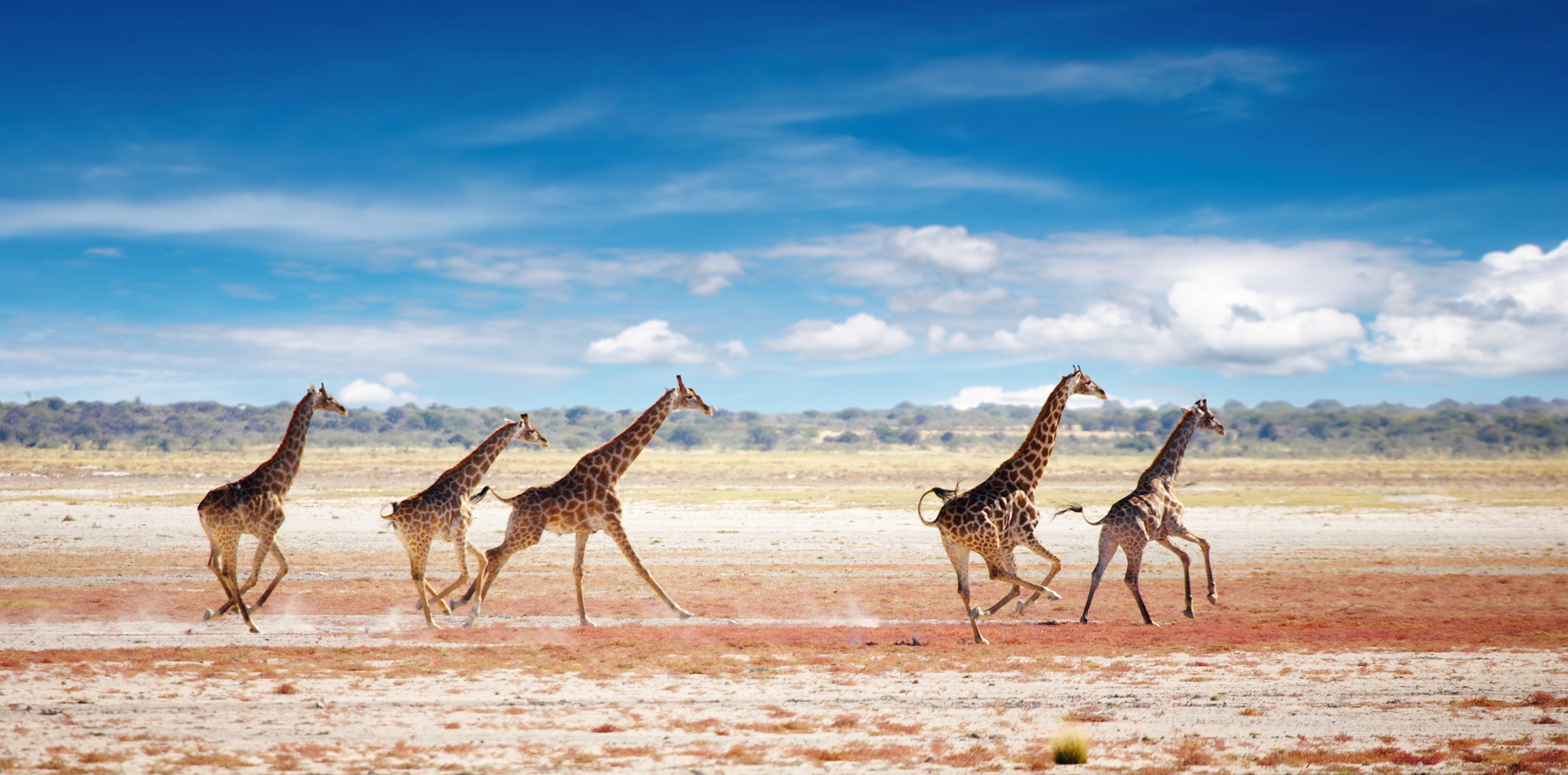 Namibia - Silvester-Reise mit einzigartigen Erlebnissen